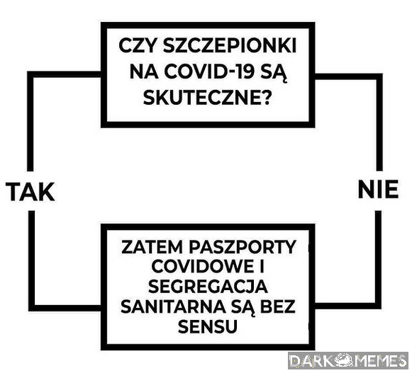 Dzień dobry.