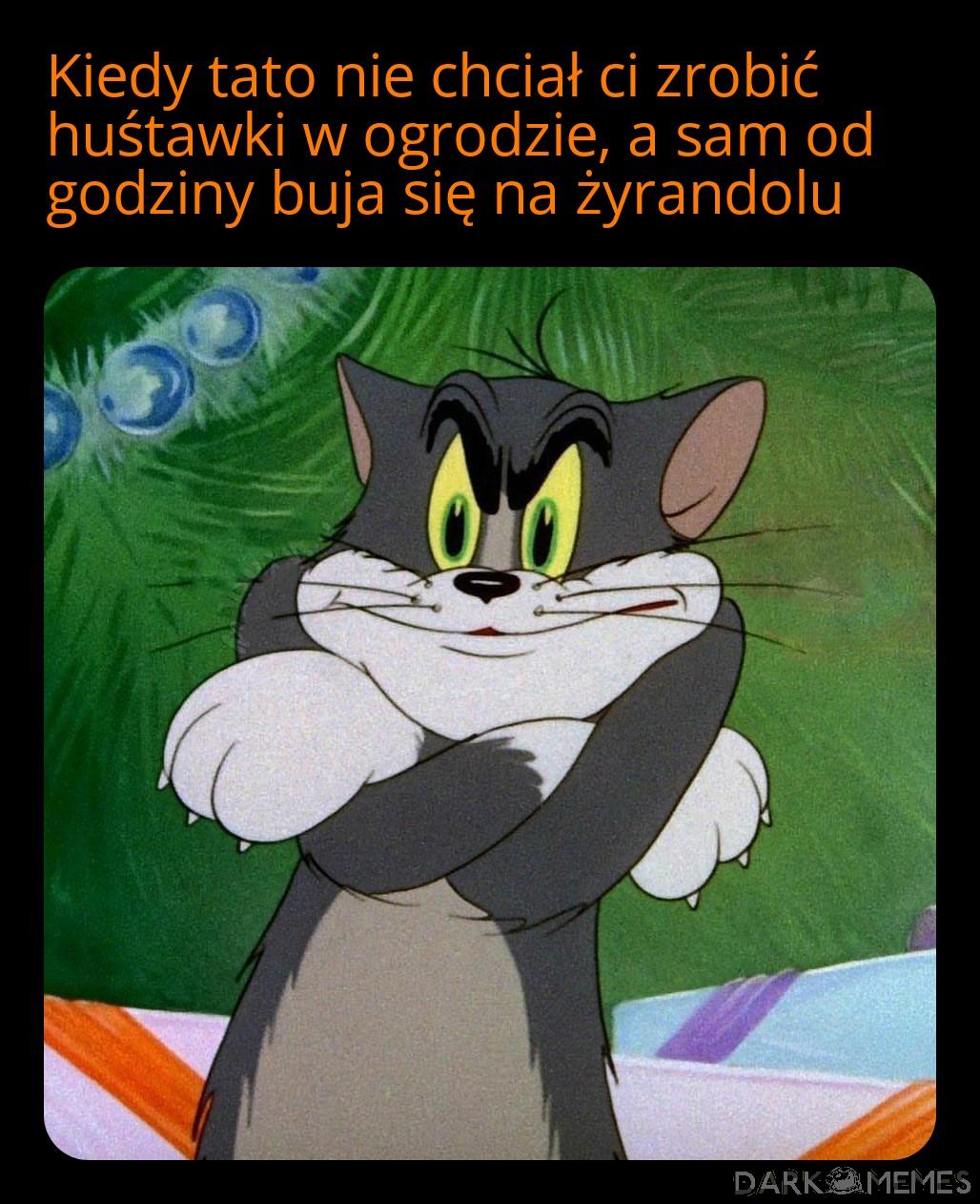 Huśtawka nastrojów