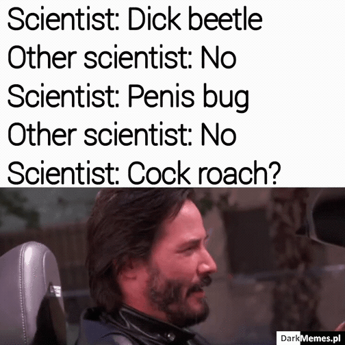 Cockroach