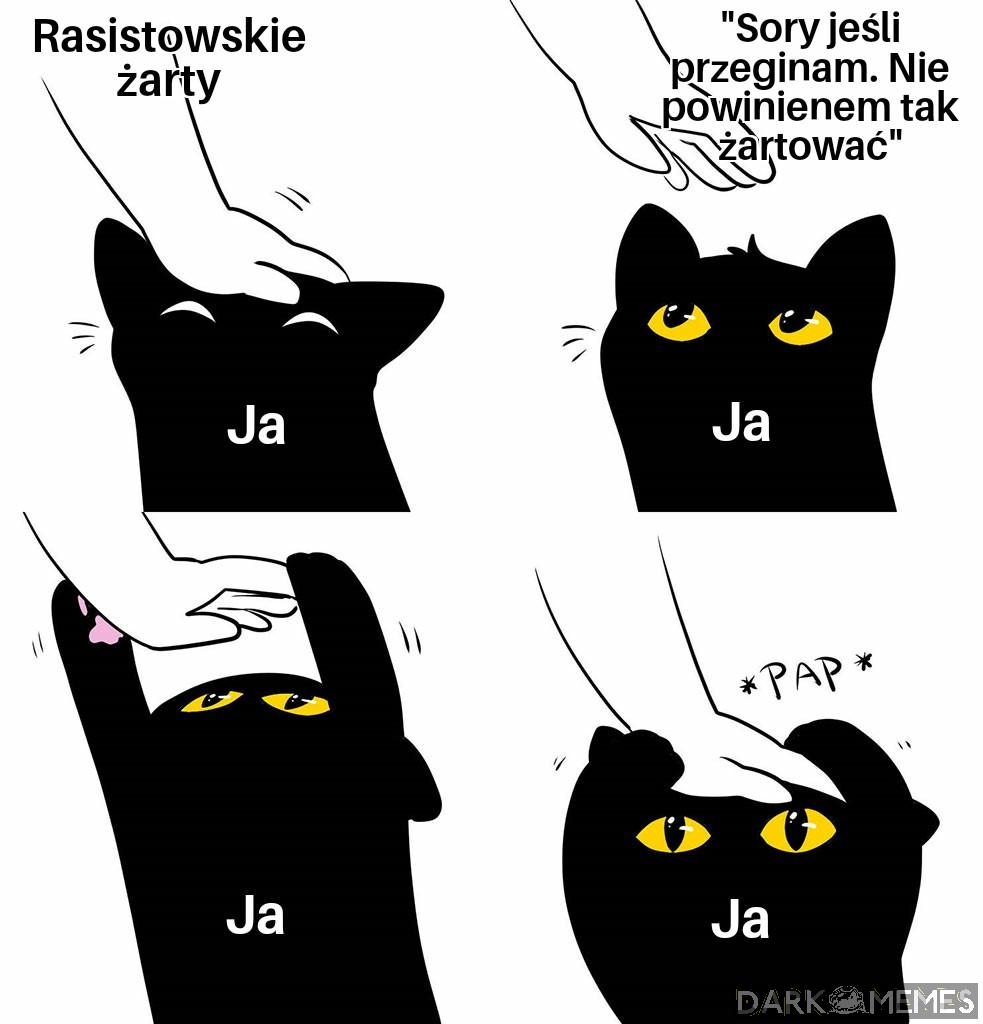 Kotek