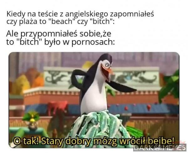 #1828654285