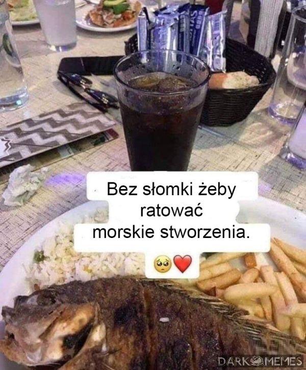 Ekologia <3