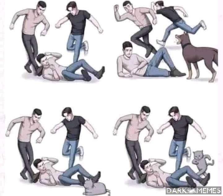 Koty takie są