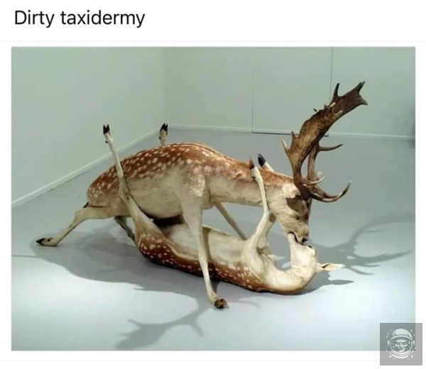 Wtf