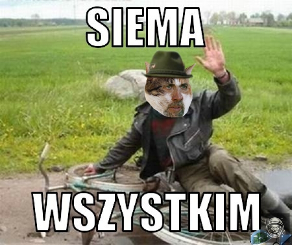 No dzień dobry