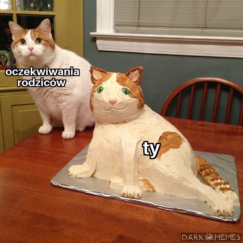 Ale tak jest