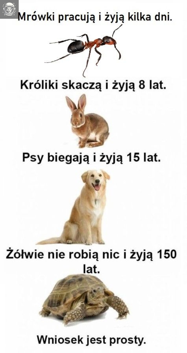 prawda objawiona