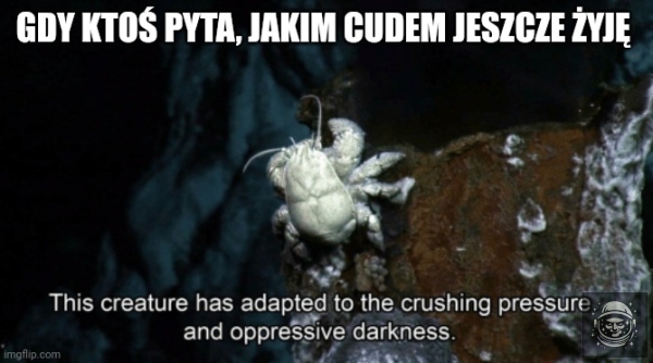 Szara codzienność jest najgorsza...