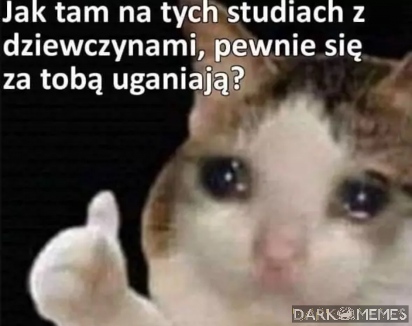 #188566629