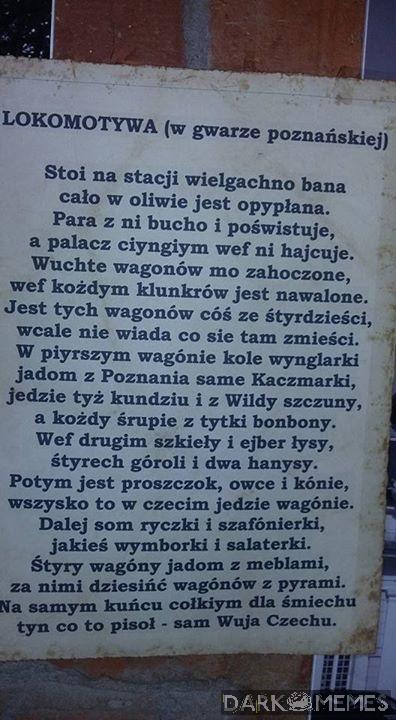 Ciekawostka