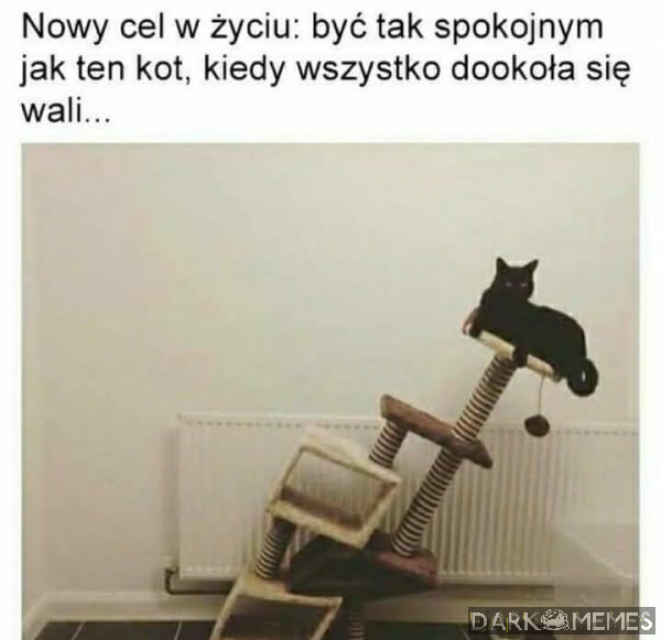 #1350348755