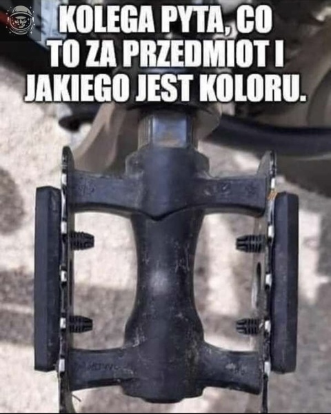 zagadka