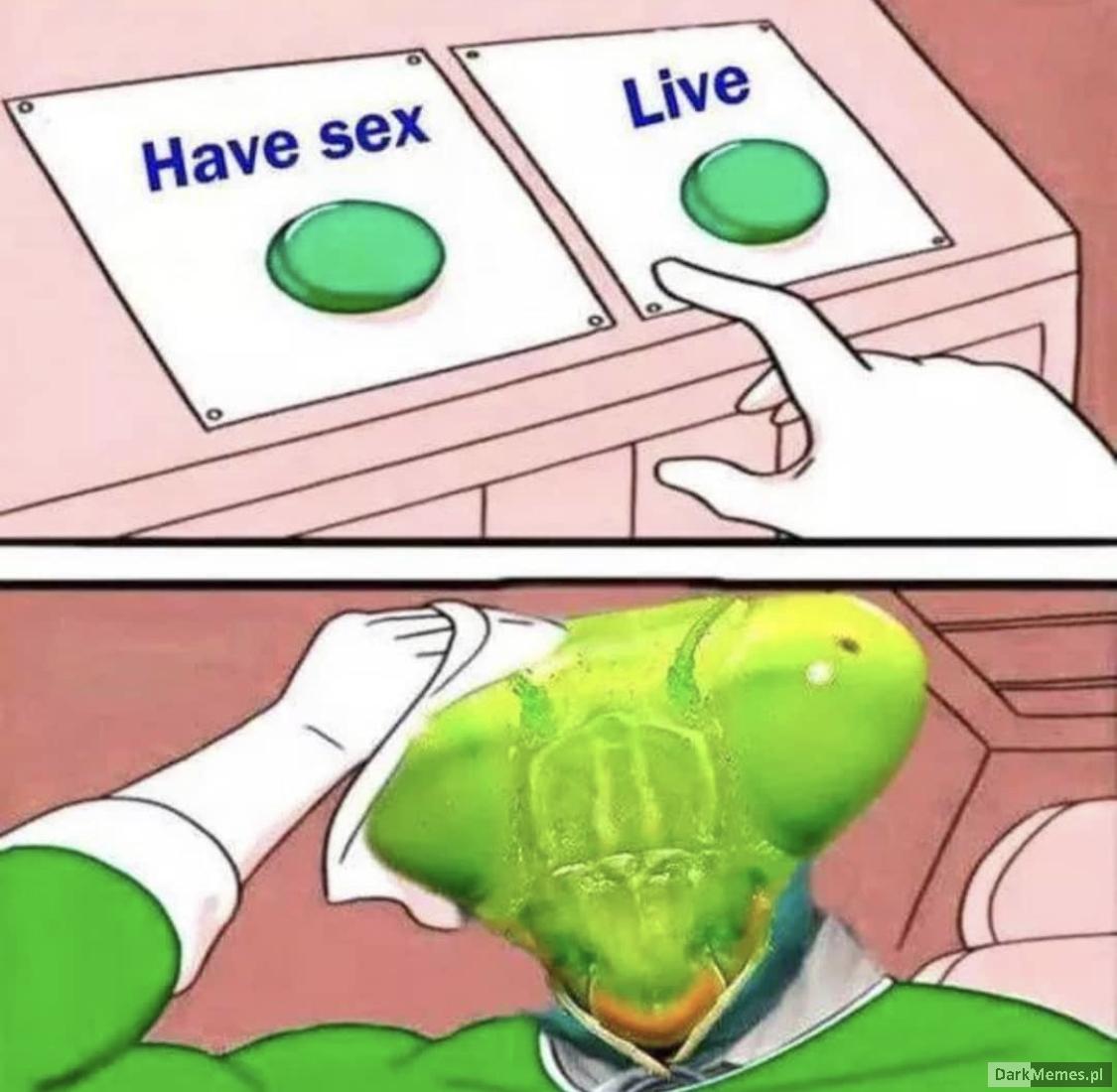Rozterki pana Modliszki