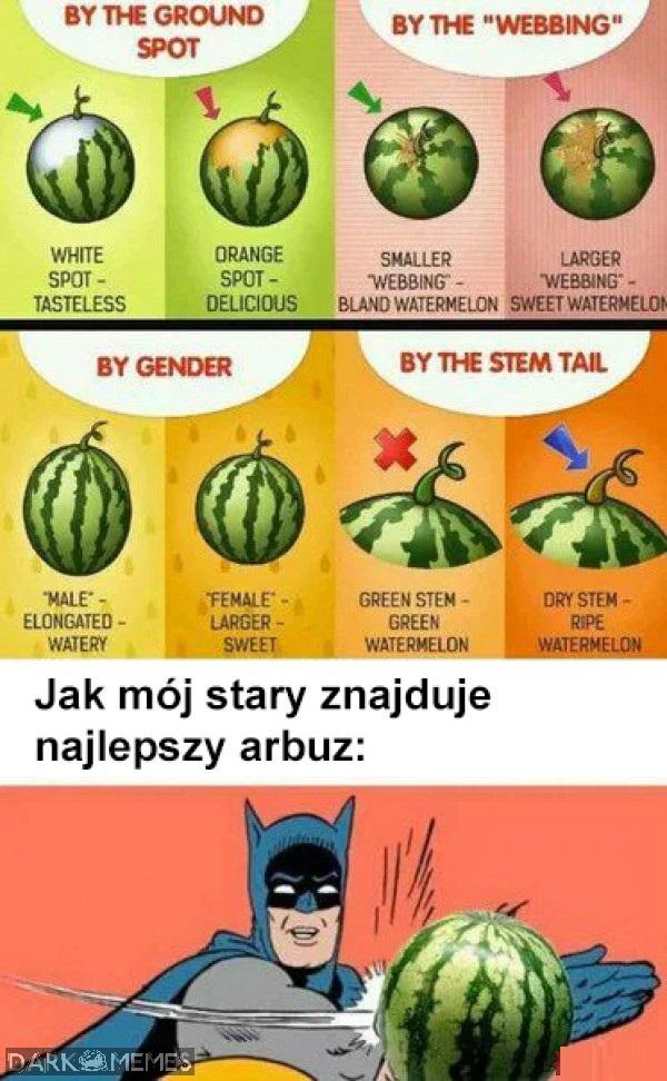 Mój stary