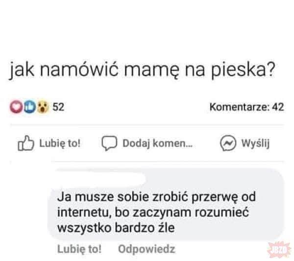 Piesek też człowiek. Panie Noszekresze