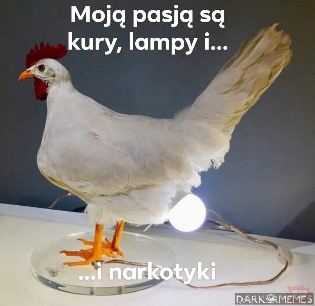 Kury