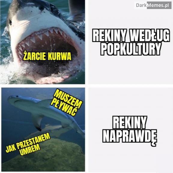 Popkultura taka jest