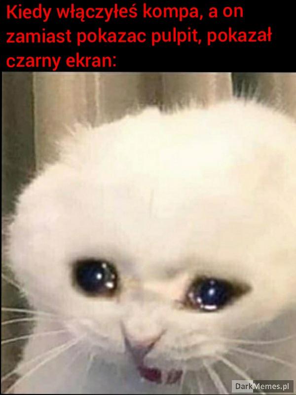 Kurwa nie