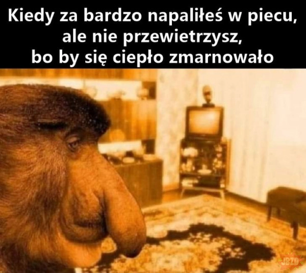 Gorąco ale kalorfrery grzejo to nie otwieraj