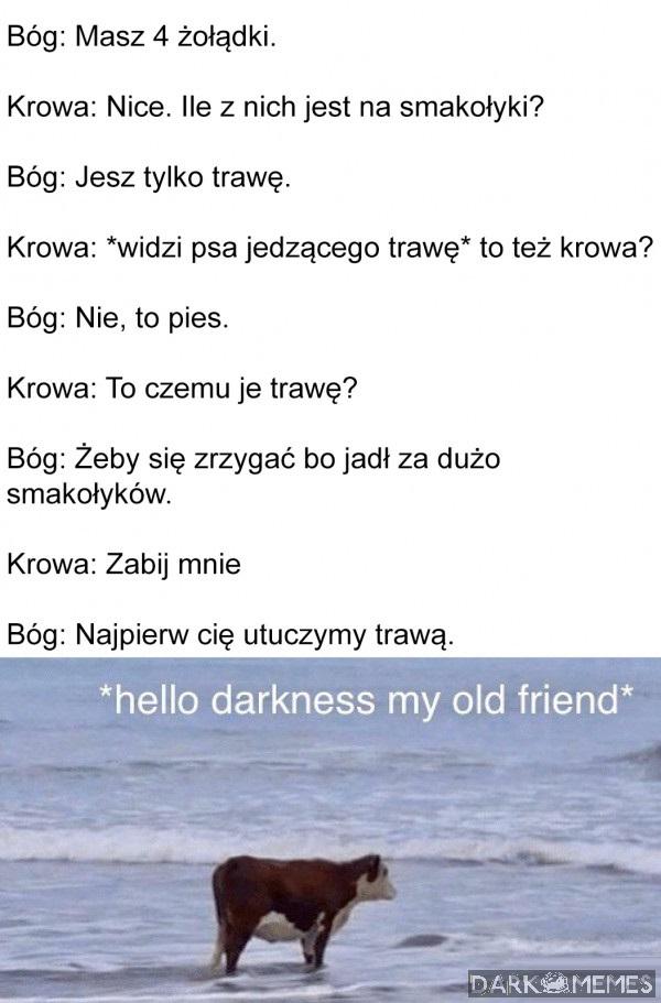 Krówsko