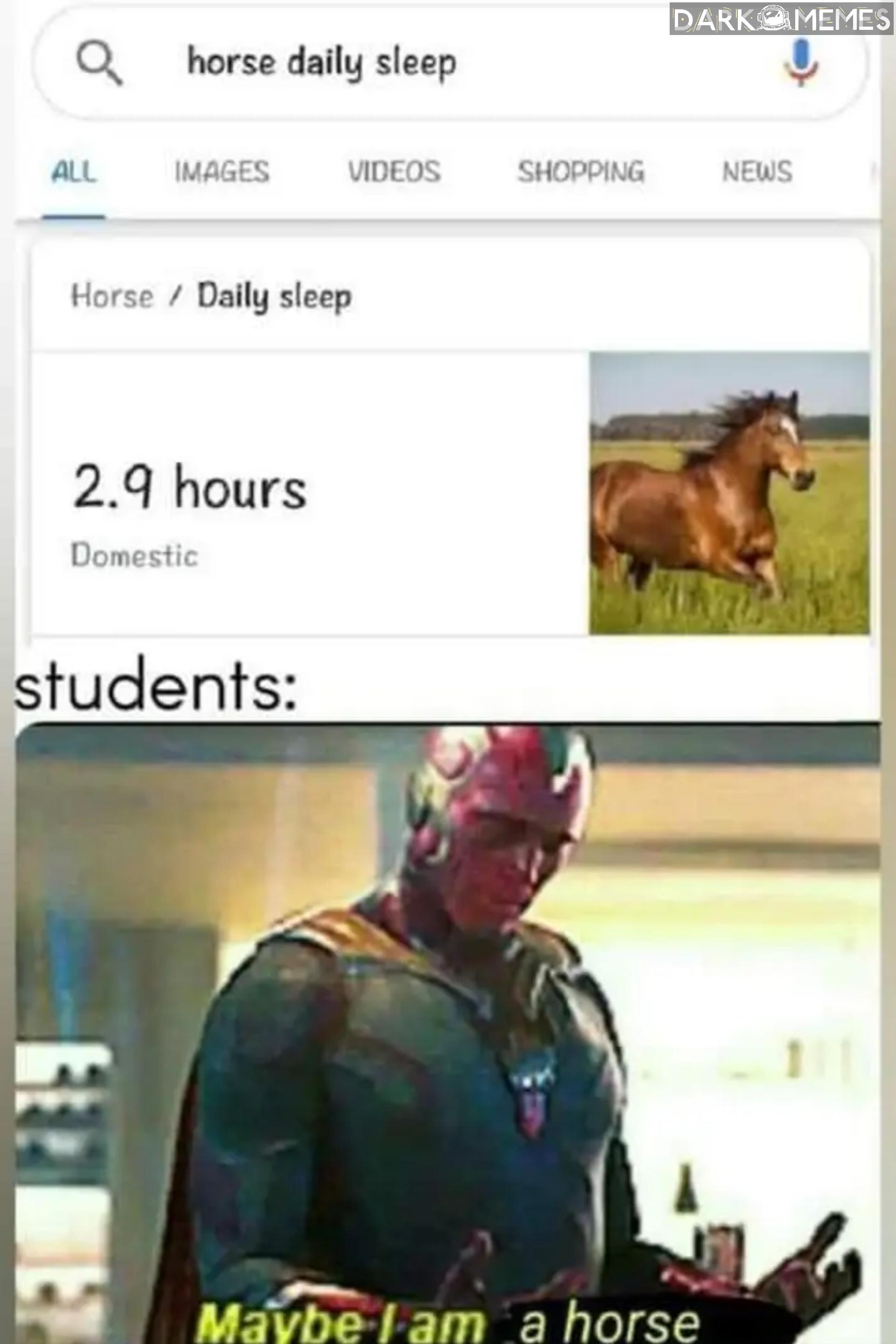 Studenty 