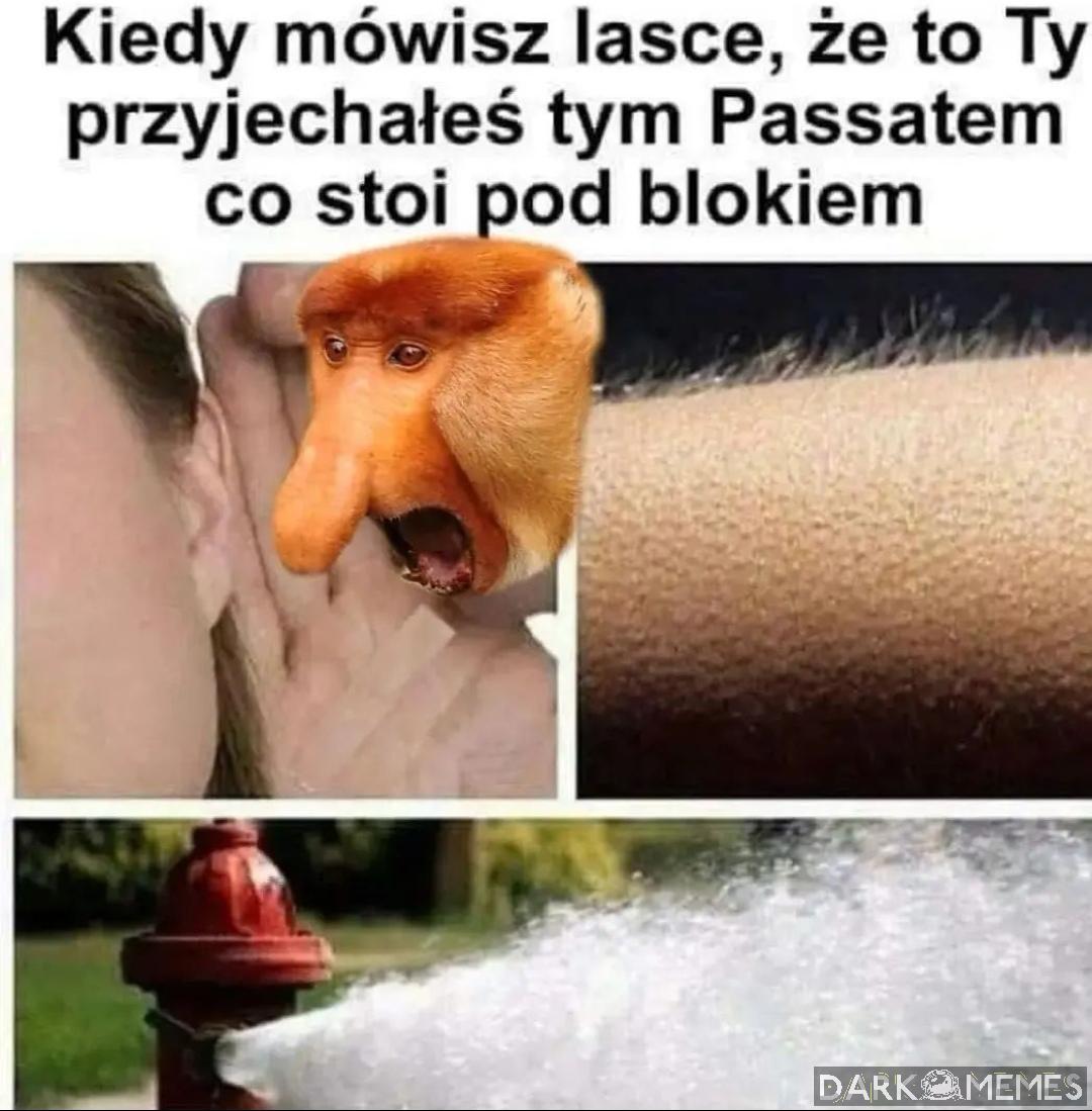 Passat