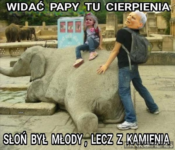 Dzisiaj urodziny Papaja