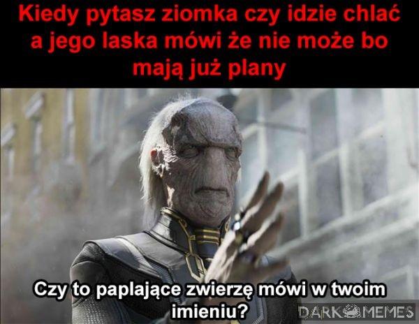 Zwierzontko