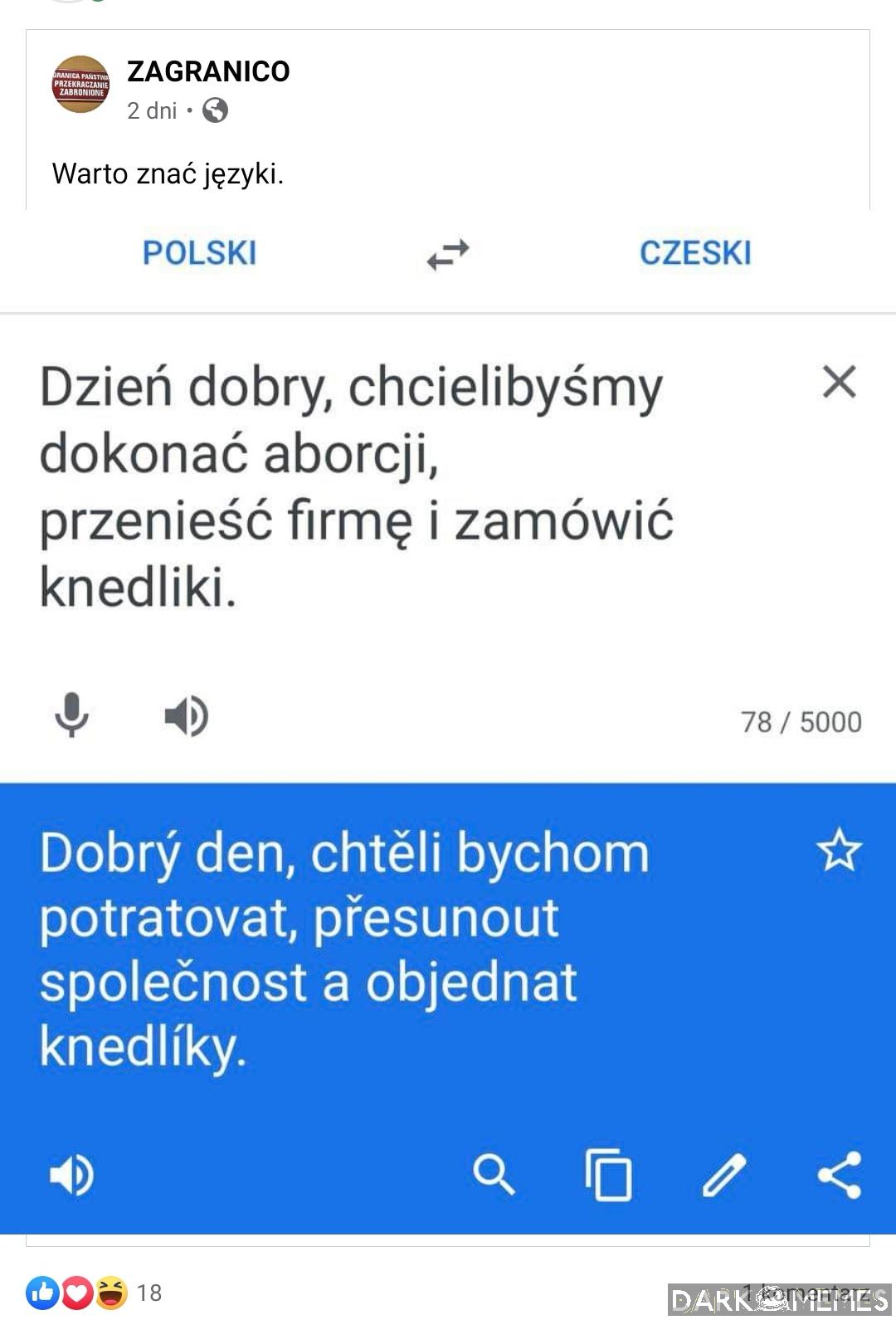 Pepitki i ich usługi xd