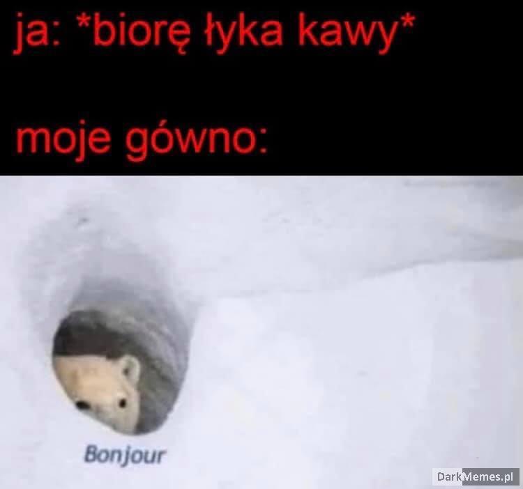 Bonjour