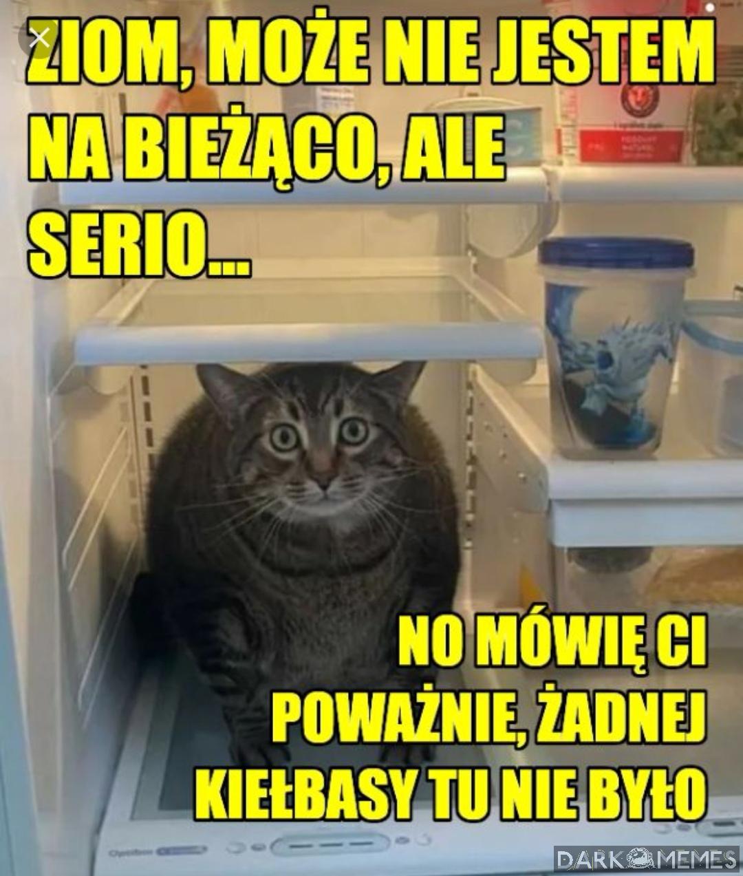 #1004050171