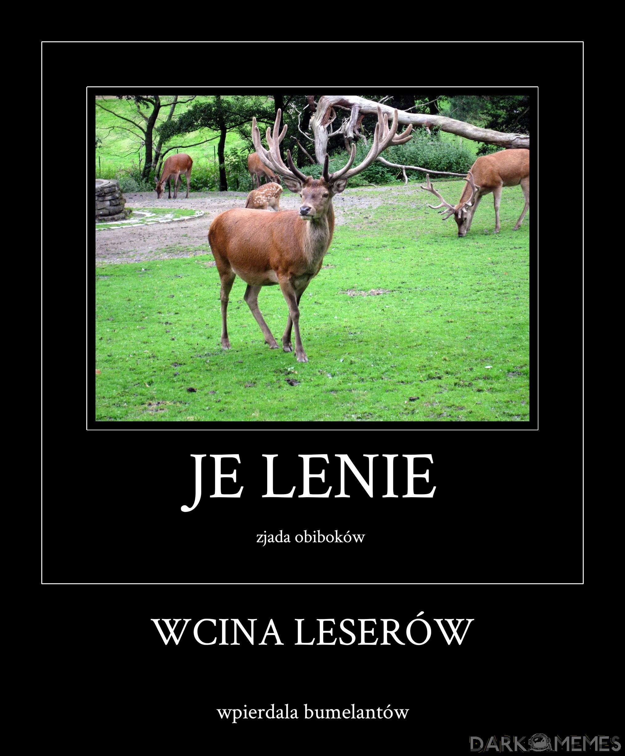 Tytułu mi się nie chce wymyślać 