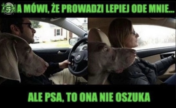 łutyT