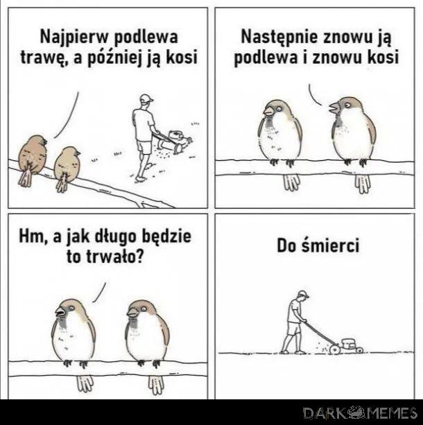 jak długo