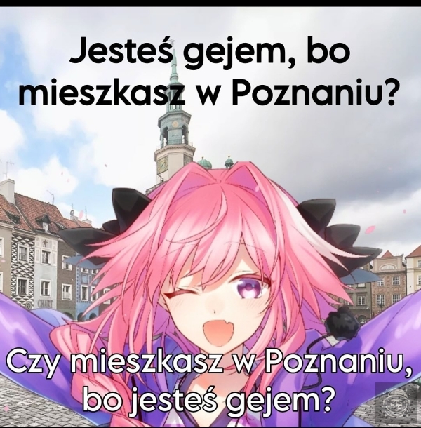 poznań miasto doznań