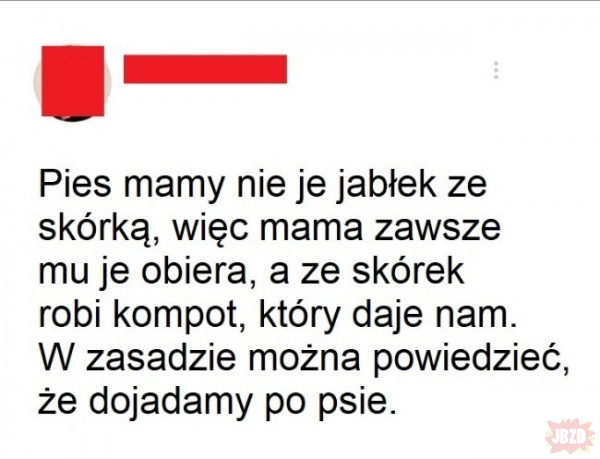Jabłuszka pełne snów