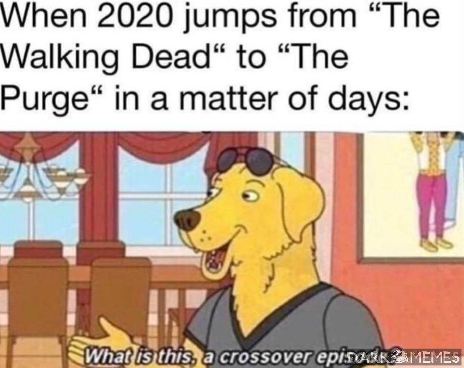#1730309753
