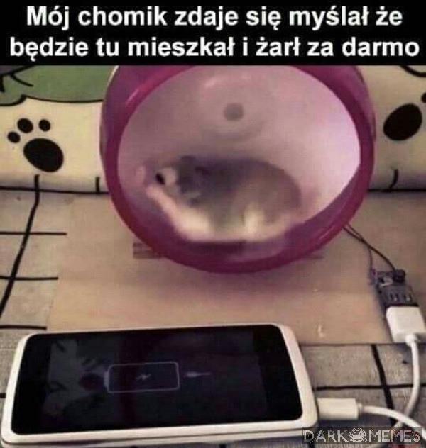 #1452875107