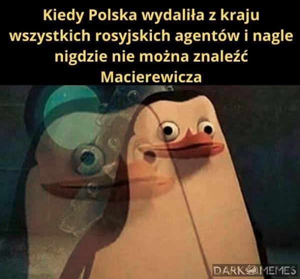 I połowy CZERWONYCH nicków z dzidy 