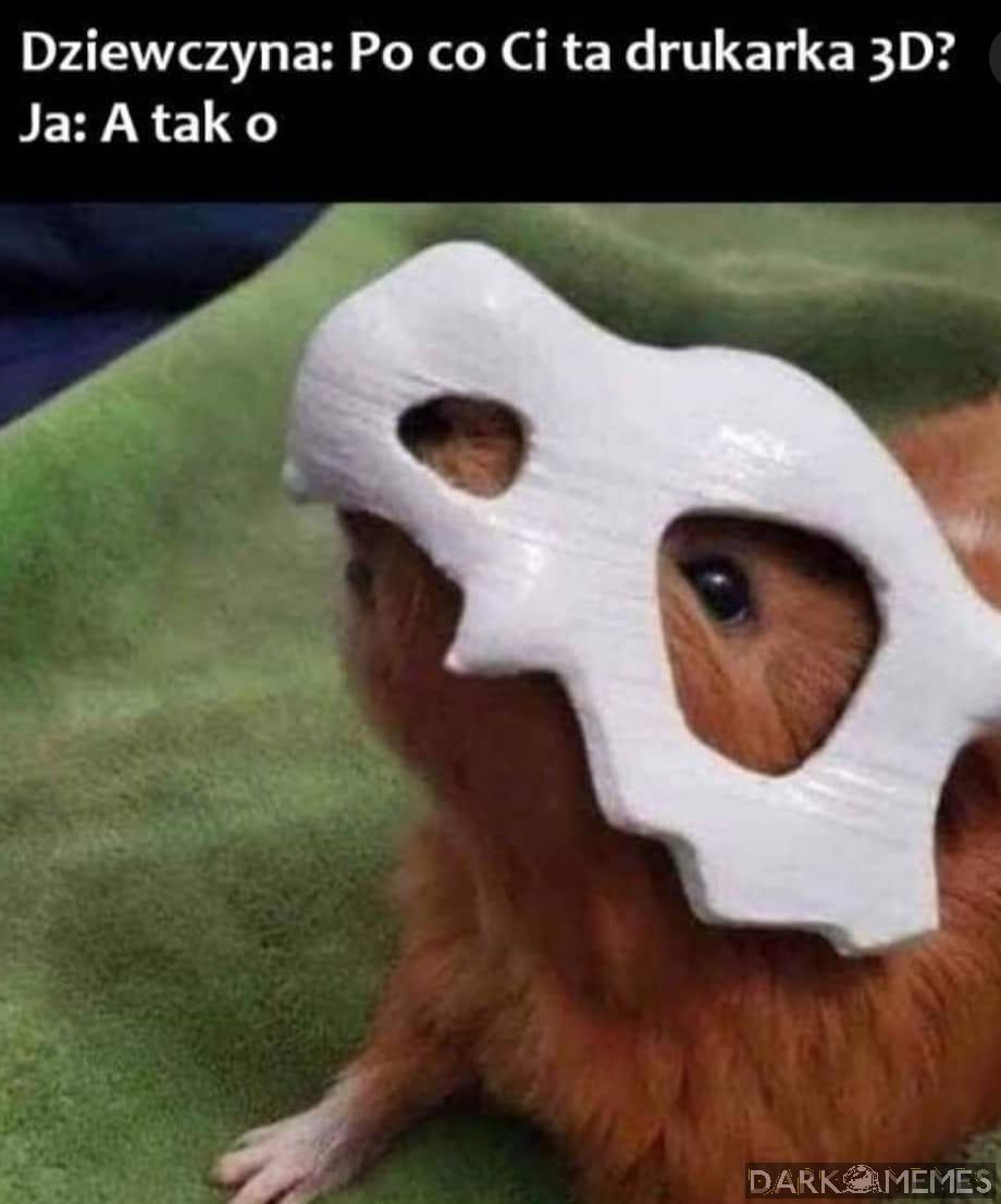 Xd
