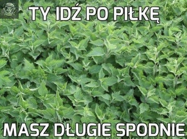 łutyT