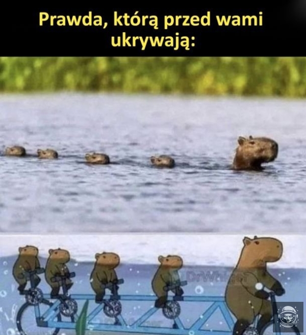 Oni nie chcą byś znał prawdę.