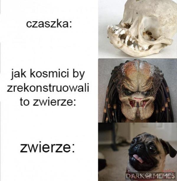 #2097139799