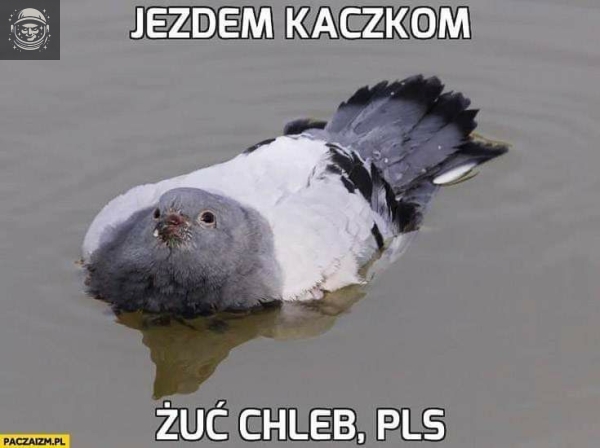 bezbek bo tenskno za pitcom