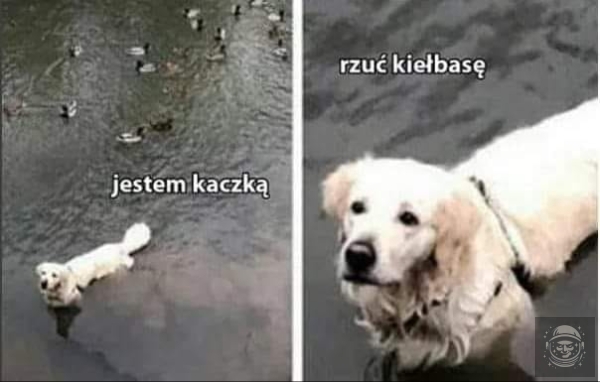 Dawaj żreć!!1