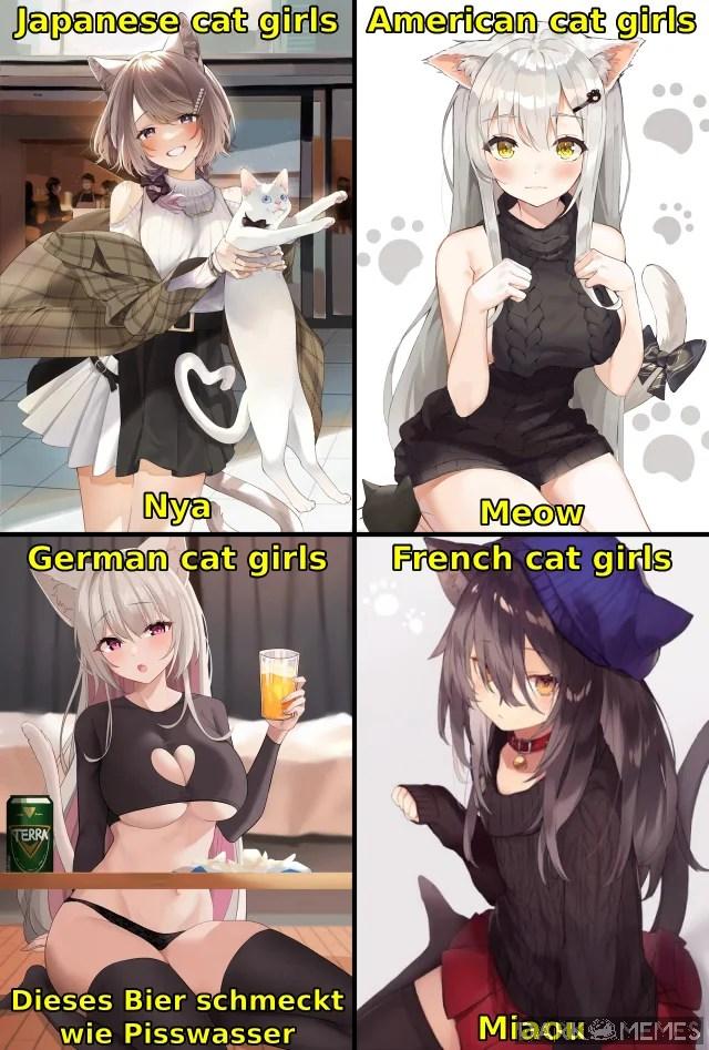 Kotki 