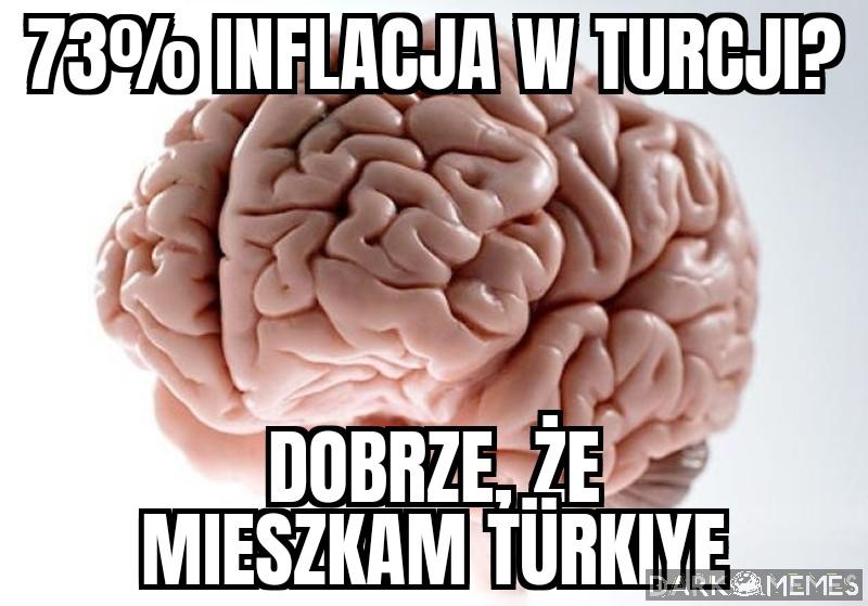 Duży mózg czas
