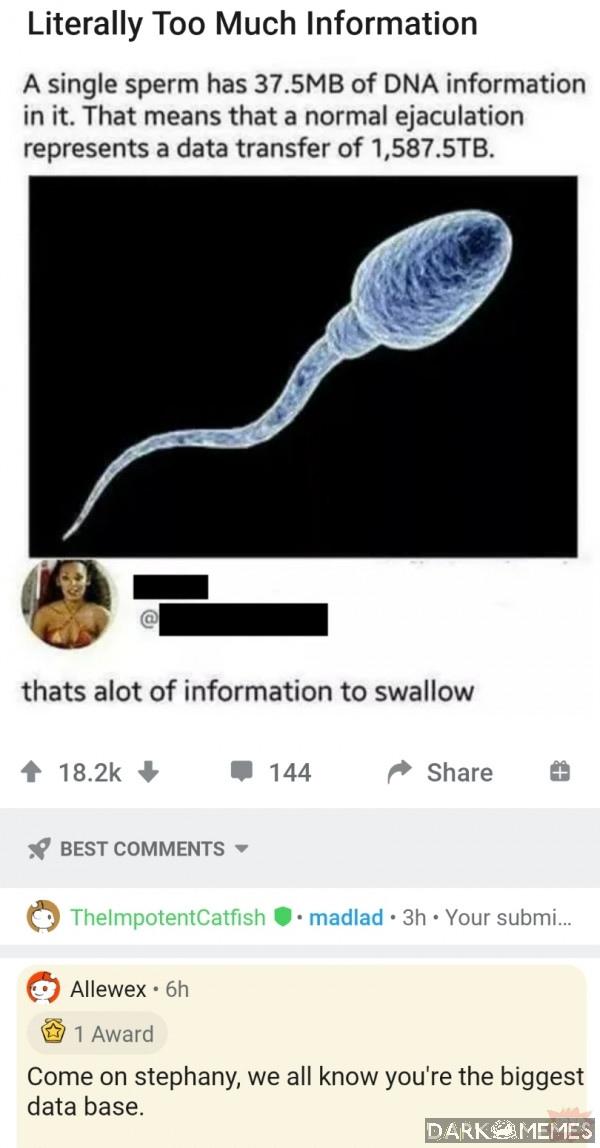 #213776896