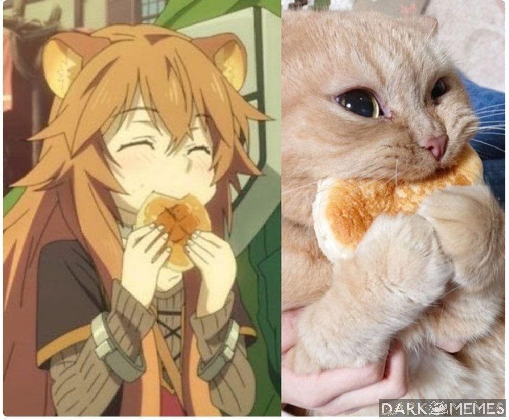 可愛いkitku