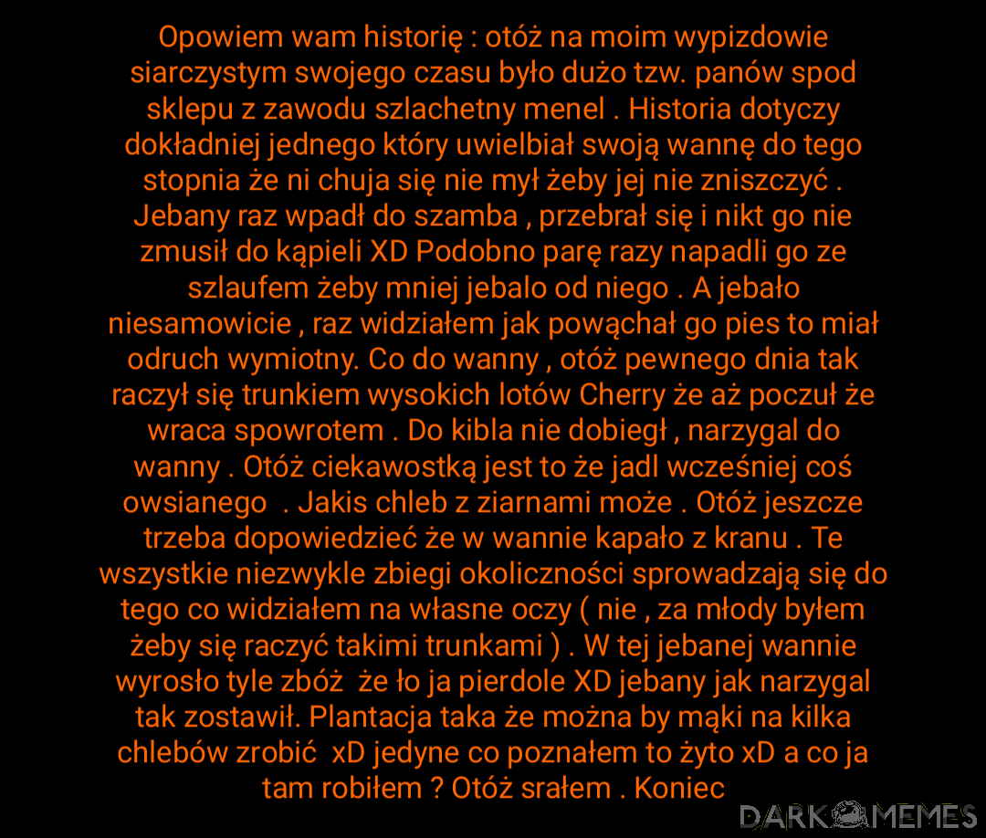Dzień jak co dzień na wsi